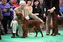 Crufts2011 246